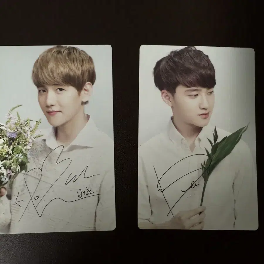 엑소 도경수 변백현 포카 dvd