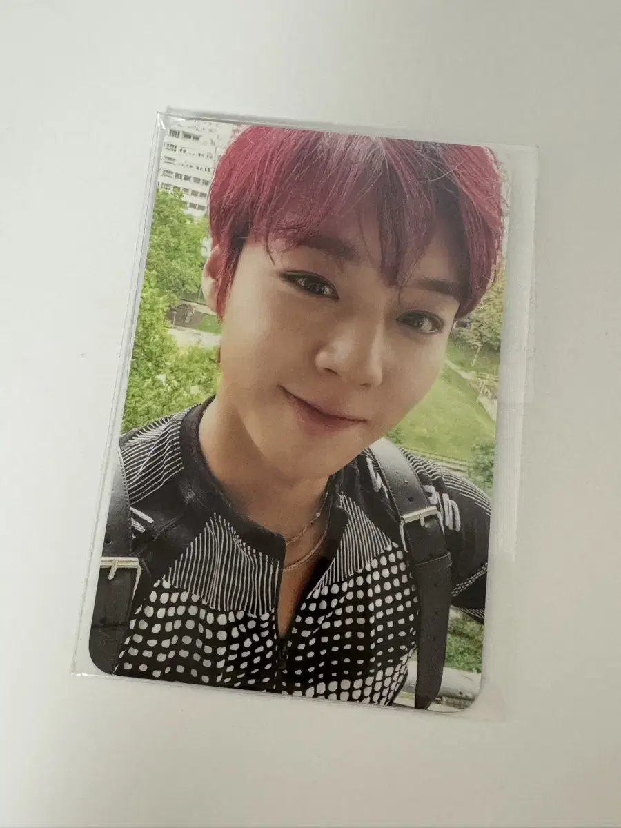박지훈 포토카드 포카 hello82 THE ANSWER