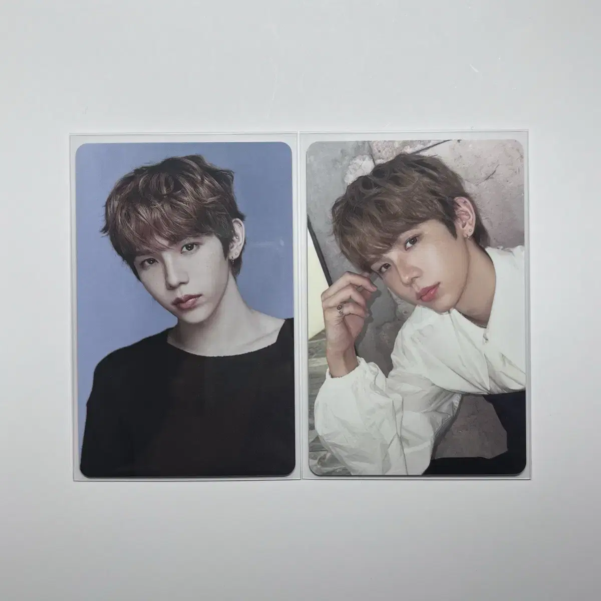 라이즈 시그 트레카 쇼타로 양도 원빈은석성찬앤톤소희