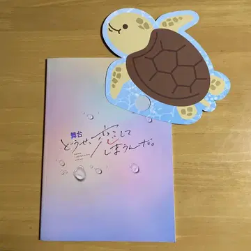 어차피 사랑에 빠질 거야