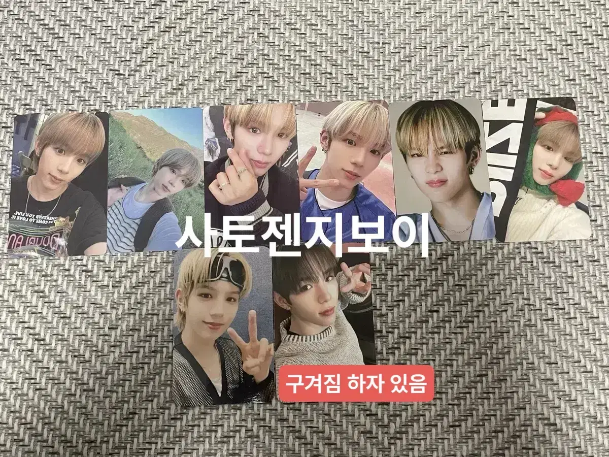 라이즈 쇼타로 톡섹시 겟어기타 일괄 포카 슬로건포카