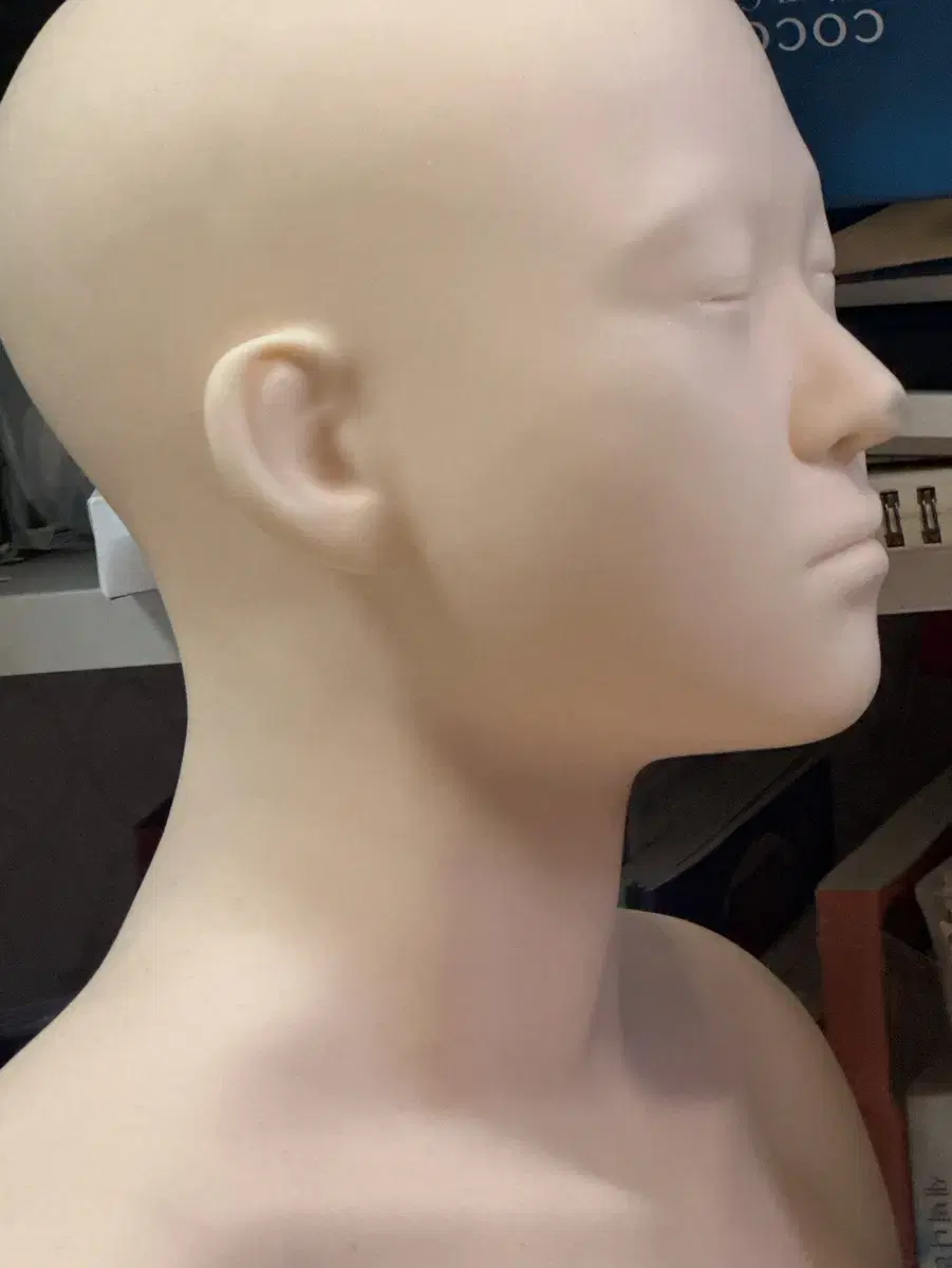 피부실기재료 피부국가자격증