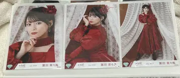 노이미 토미타 나나카제 피오니스 브로마이드 컴프