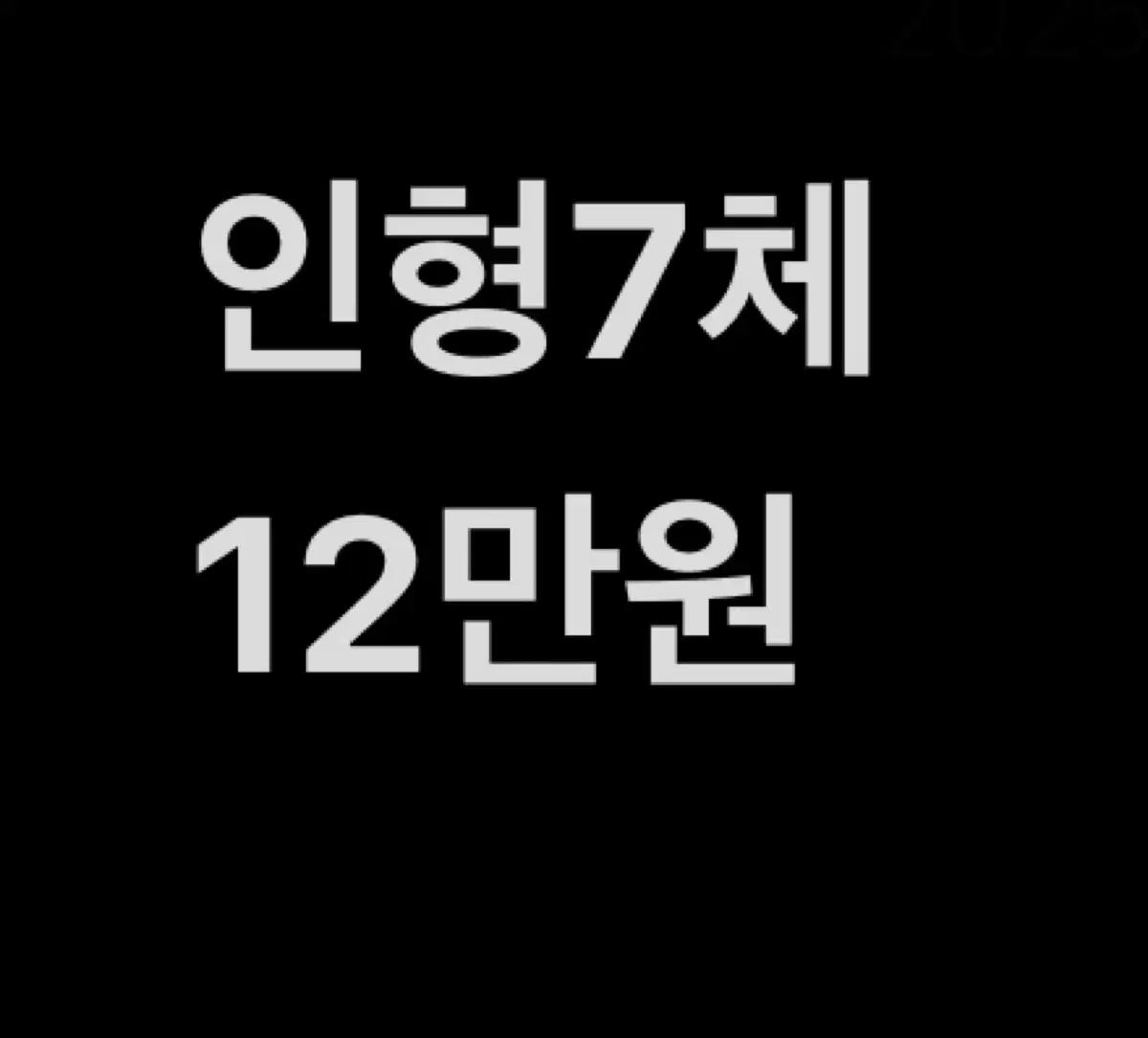 세븐틴 정한 디에잇 원우 인형양도 쫑코미뭉쫑이겸도그