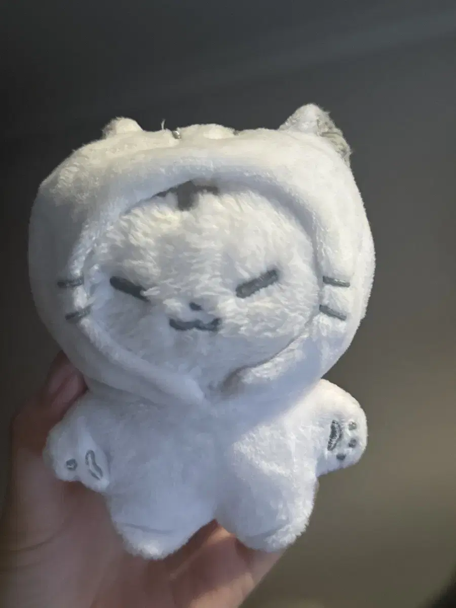 세븐틴 호시 인형 호찌 판매