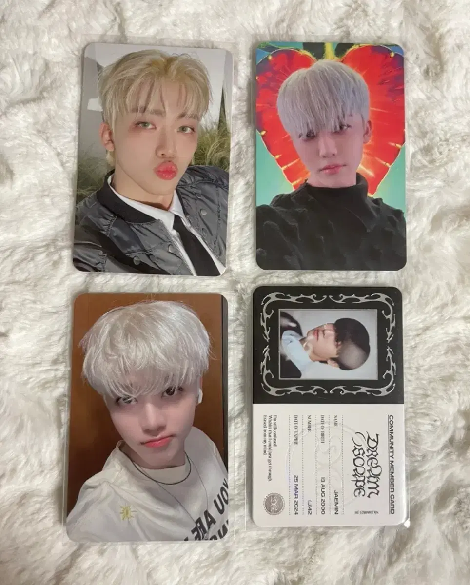 엔시티드림 나재민 포카 팔아요