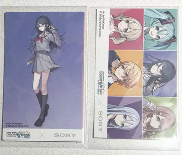 프로세카 소니 소니 이어폰 혜택