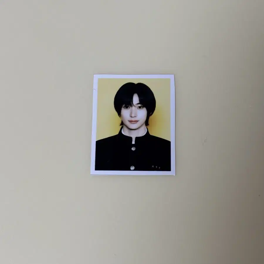 라이즈 앤톤 허그 엠디 증사
