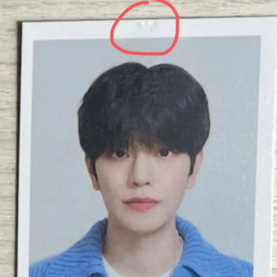 스키즈 증사 양도
