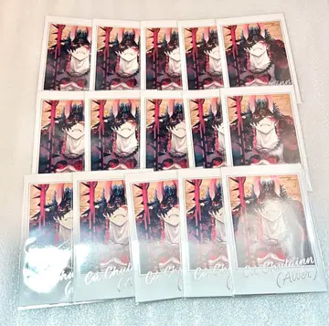 fgo 페스티벌 초상화 세트 쿠우 퓨리온 알타