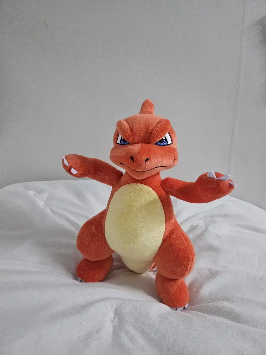 [새상품,택있음](정품인형)25cm 포켓몬스터 리자드 인형