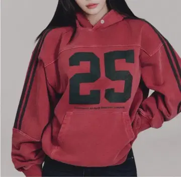 codegraphy CGP 후드티 25 버건디 후드티
