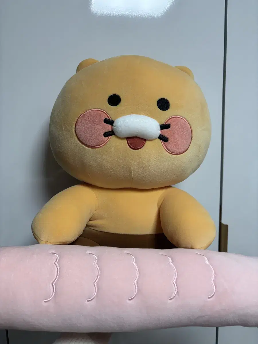 Chun-sik's fish-shaped wrist protector doll