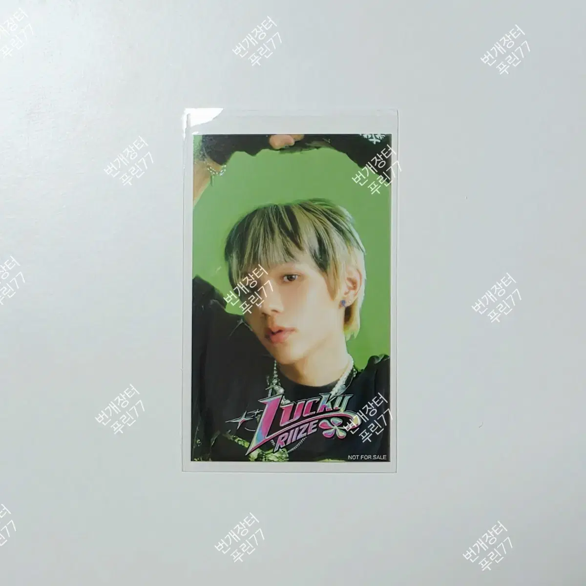라이즈 쇼타로 일본 앨범 포카 럭키 HMV 솔로 개인 lucky