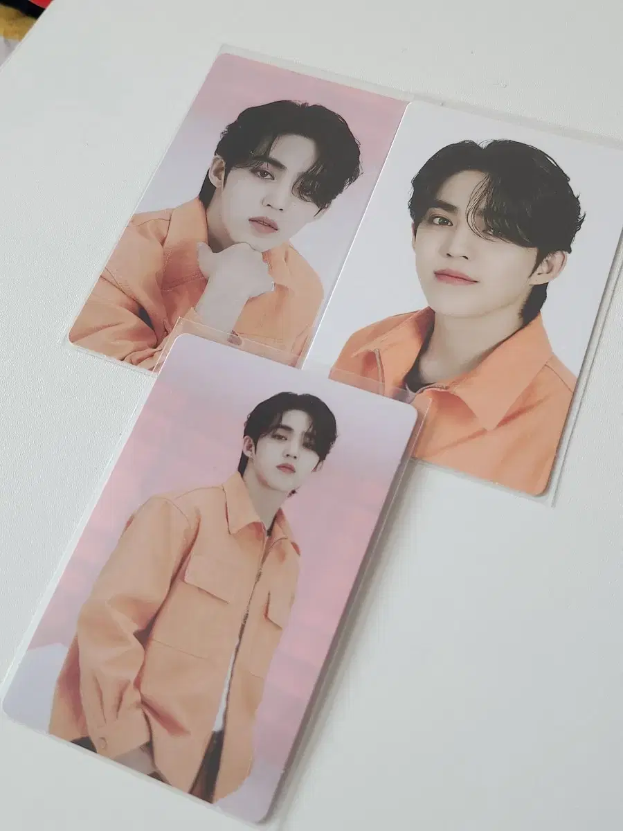 세븐틴 에스쿱스 팔로우 트레카 일괄