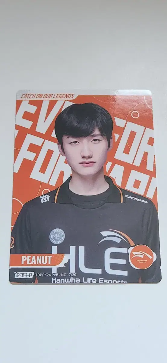 LCK카드 한화생명 Esports 피넛 오렌지