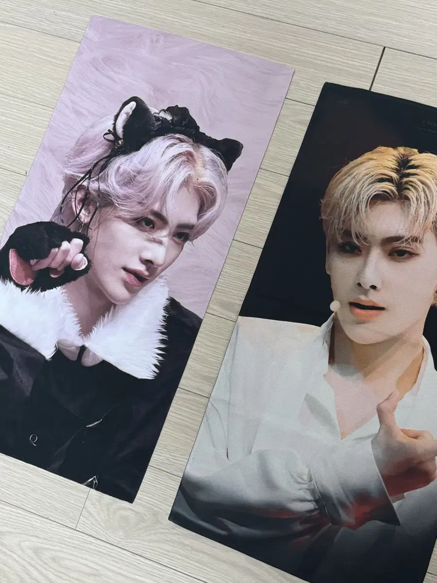폭덤) 제베원 리키 고양이 슬로건