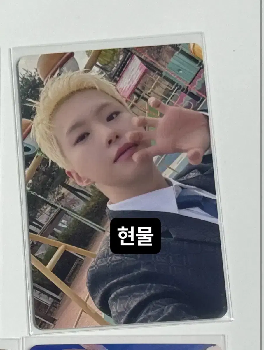 급처)세븐틴 부석순 이즈위 호시 정한원우민규분철이즈위캐럿존