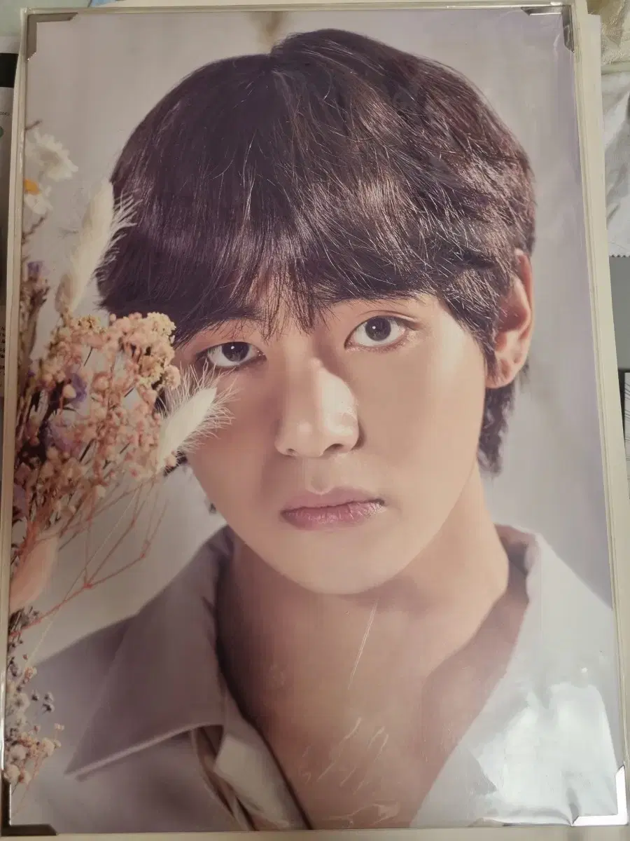 방탄소년단 콘서트 프리미엄포토 프포 뷔 태형