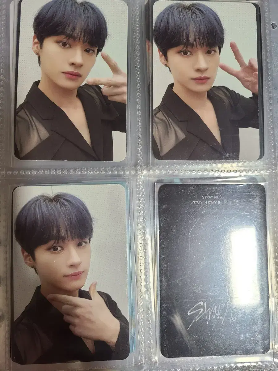 스트레이키즈 리노 jyp 그린프로젝트