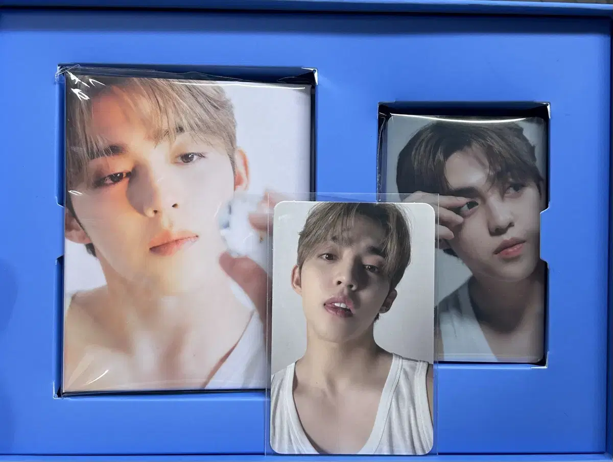 세븐틴 베스트앨범 디어버전 승철