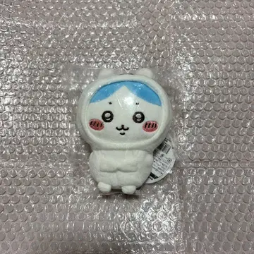 치이카와 나가노 마켓 마스코트 나가노 곰 모자를 쓴 하치와레