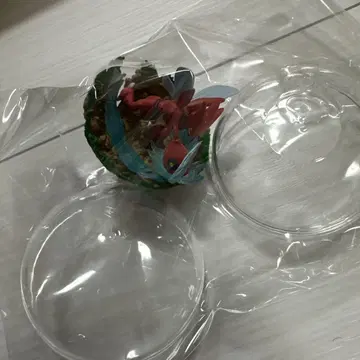 리멘트 테라리움 컬렉션 하솜