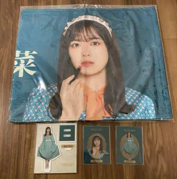 시바타 유나 씨 NOGIAZKA Romando 페이스타월 외 세트