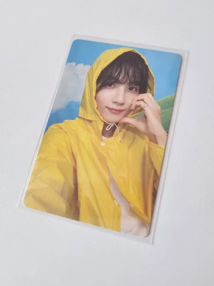 세븐틴 헤븐 캐럿반 정한 포카
