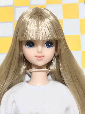 리카짱 캐슬 제니 프렌드 리틀 팩토리 미라이