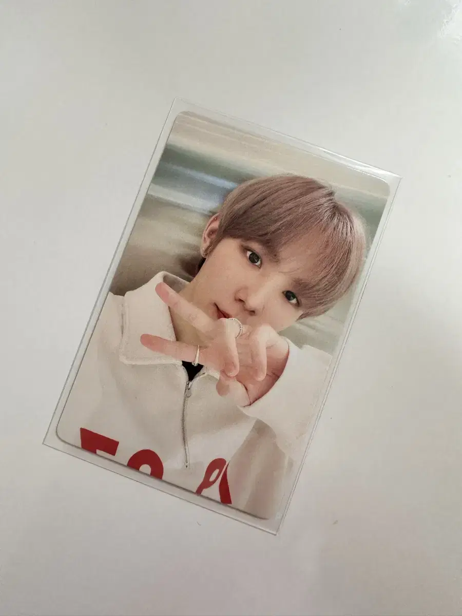 라이즈 쇼타로 포카 universe 이즈위
