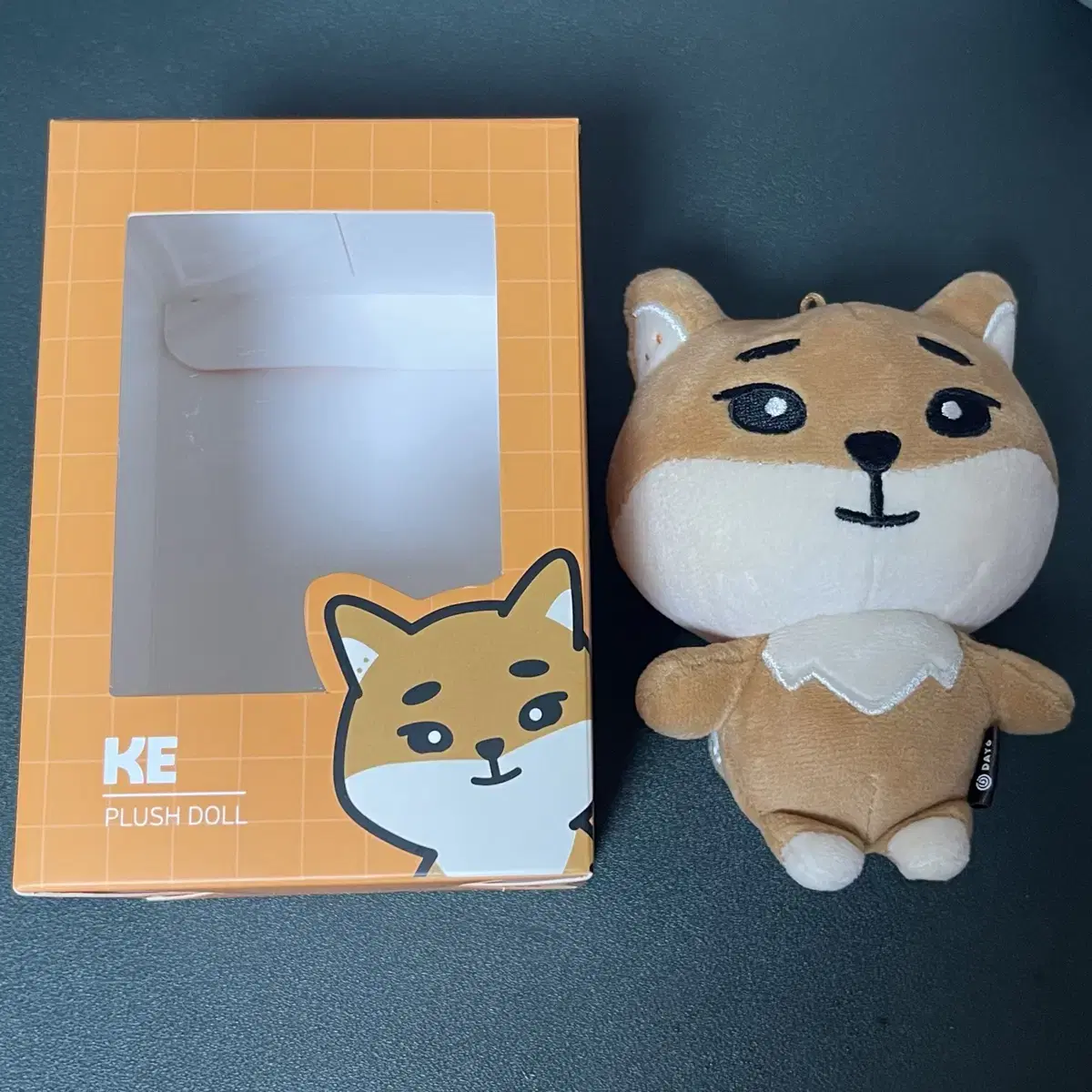 데이식스 데니멀즈 24 케