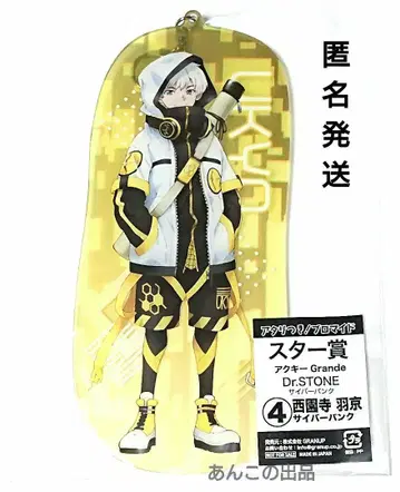닥터 스톤 니시조노지 깃털 구김! 브로마이드 복권 스타상 아크링 키링