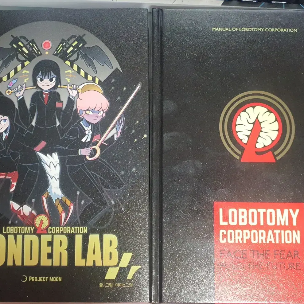 Robotomi Corporation sells art books and WonderLab hardcover books