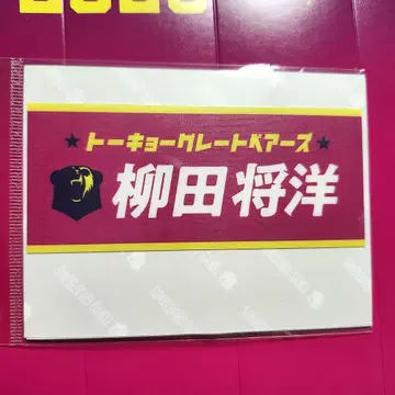 도쿄 그레이트 베어스 야나기타 쇼요 선수 이터널 스티커