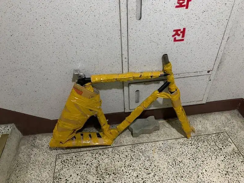 벨로라인 루시 픽시 프레임 급처