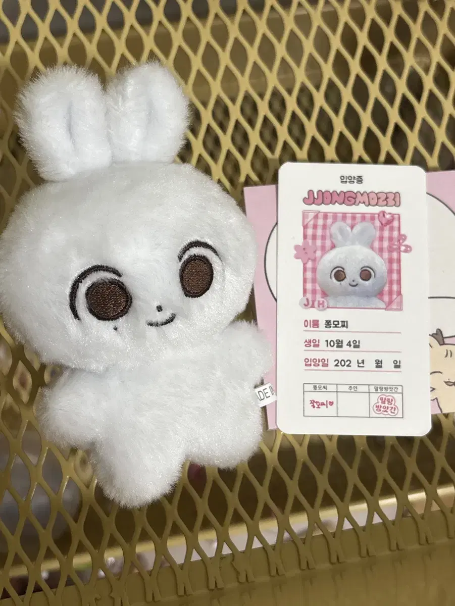 세븐틴 정한 쫑모찌 인형