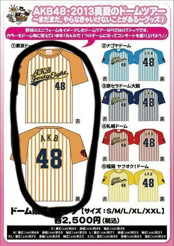 AKB48 한여름의 돔 투어 2013 도쿄 돔 한정판 티셔츠 타월