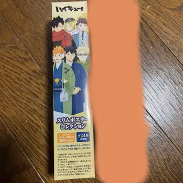 하이큐 슬림 포스터