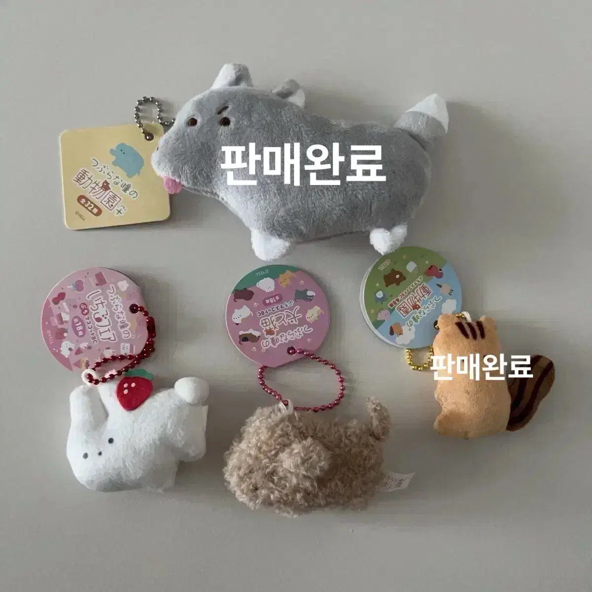 츠부라나히토미 동그란 귀여운 눈동자 푸들 토끼 판매