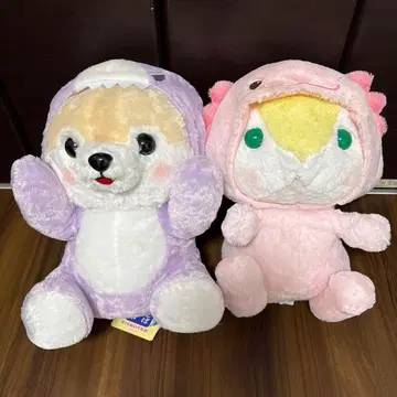 콩시바 삼형제, 포테우사 롯삐 봉제 인형 세트 초특가