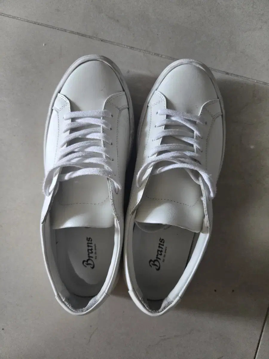 Brands Alps Sneakers (Common Project Taste) [255]