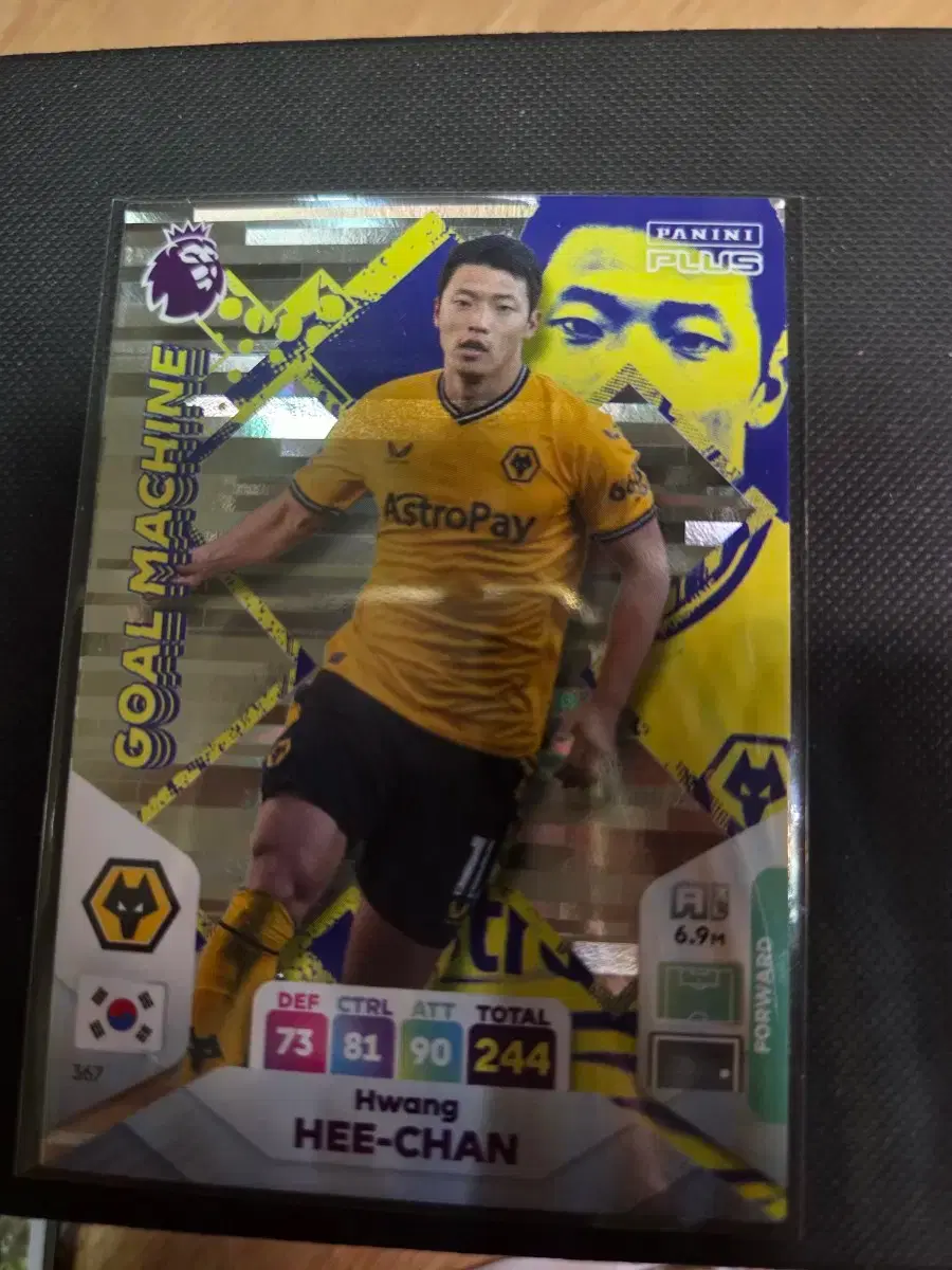 2024황희찬 파니니카드