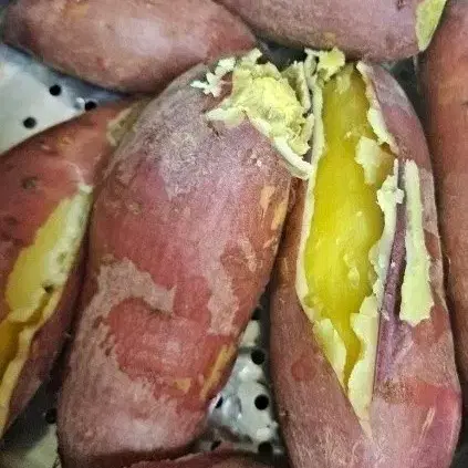 무안 꿀혼합  10키로