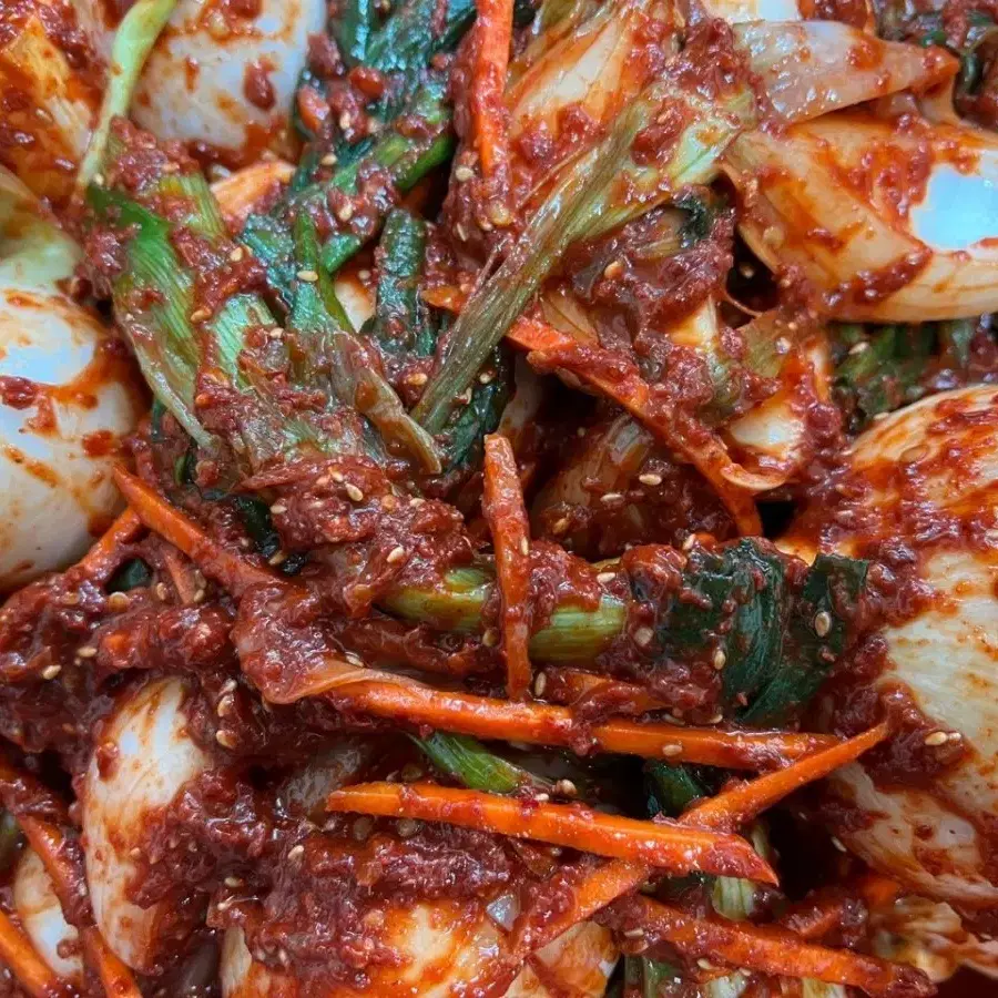 줄기양파김치3키로