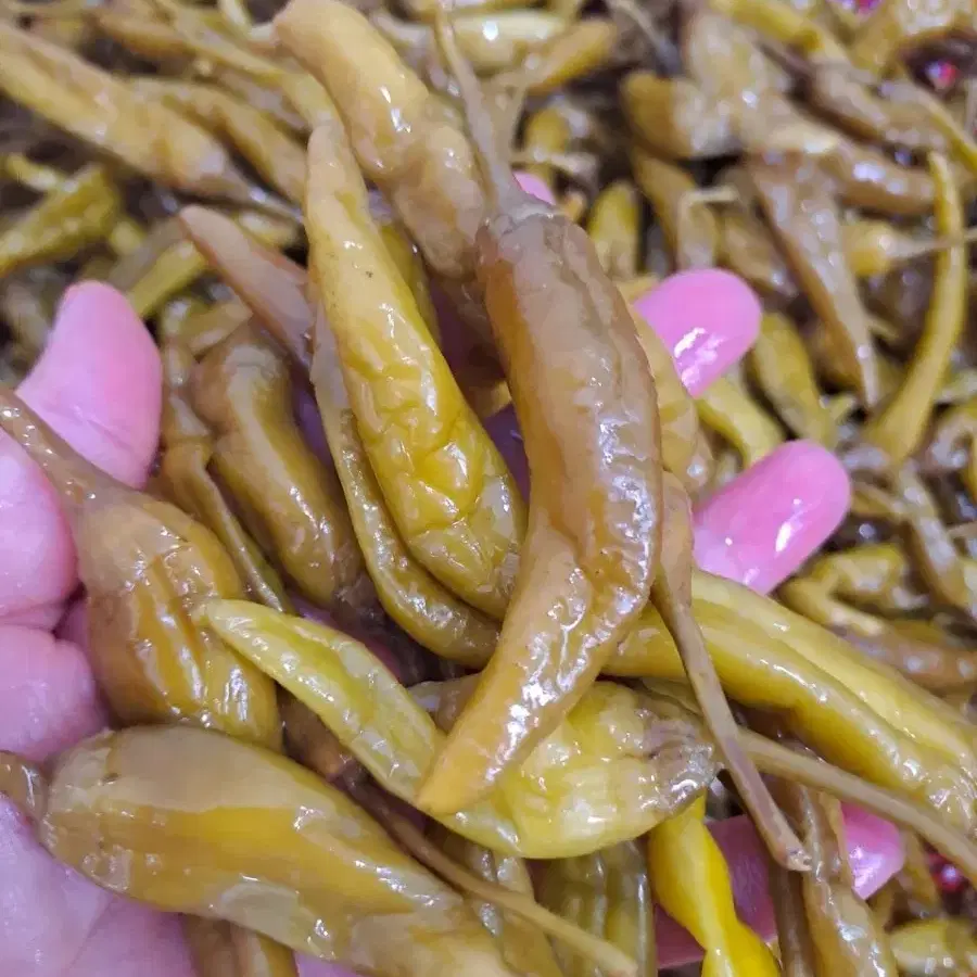 삭힌고추2키로