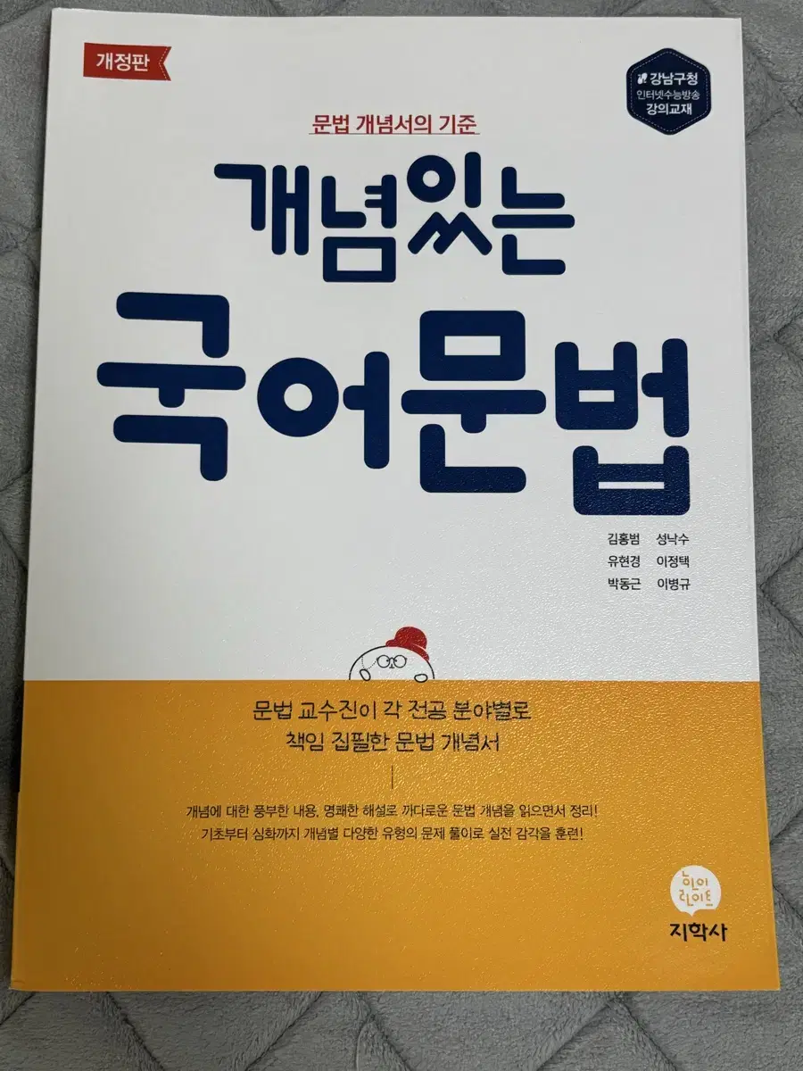 개념있는 국어 문법 지학사 문법책 판매