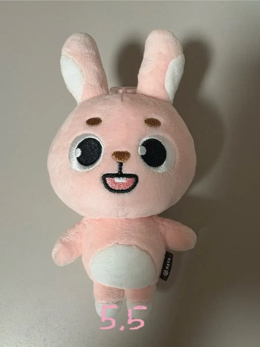 데이식스 데니멀즈 24필끼