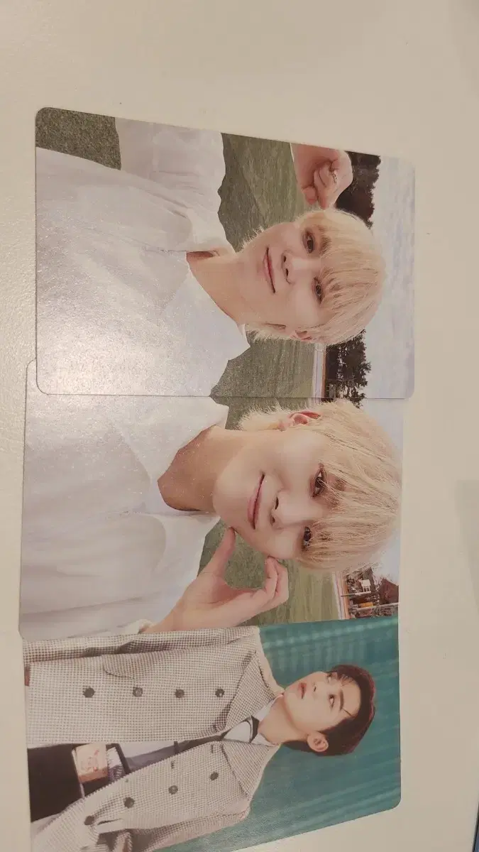 세븐틴 포카 포카 바인더 캐럿반 일괄 판매 에스쿱스 정한 준 승관 디노