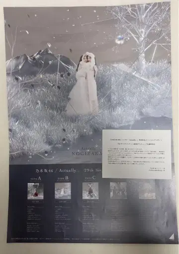 노기자카46 Actually TYPE-B 자켓 그림체 B 사이즈 포스터